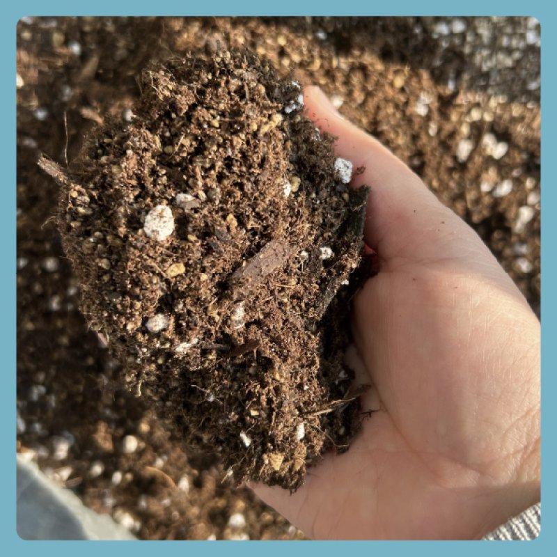 画像2: 【培土】花と野菜の土(18L) (2)