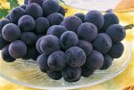 画像1: 【高原ブドウ】ニューピオーネ2 kg（良品） (1)