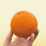 画像1: 【愛媛のプリンセス】あいか48号 3kg (1)