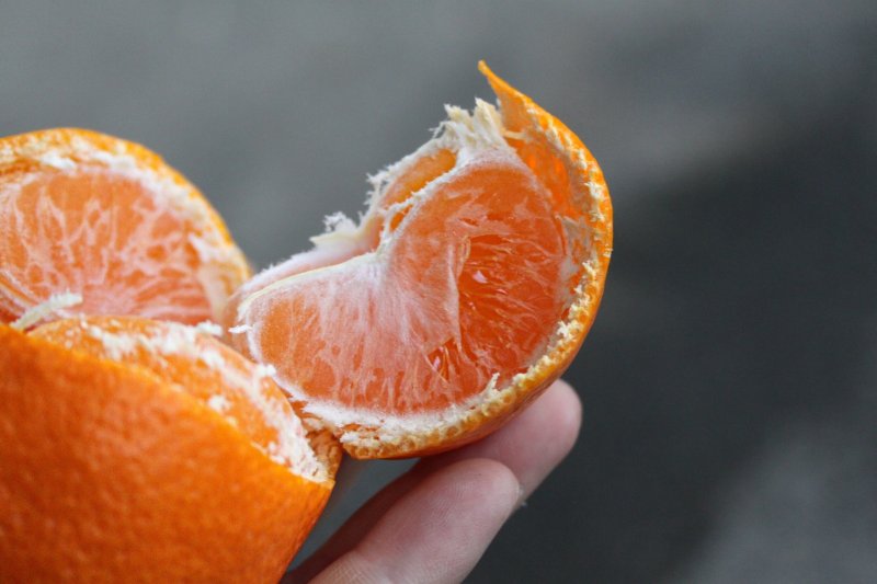 画像2: 【今シーズンラスト】真穴産のみかん（新春特価） (2)