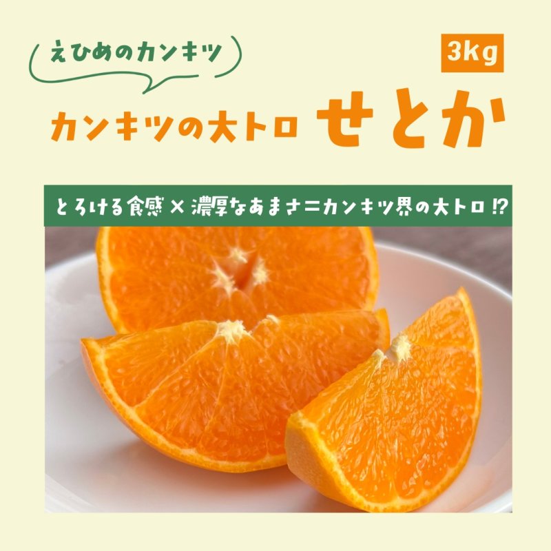 画像1: 【柑橘界の大トロ】せとか※ご家庭用※数量限定※ (1)