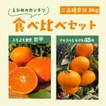 画像1: 【希少セット】プリンセスと甘平セット (1)