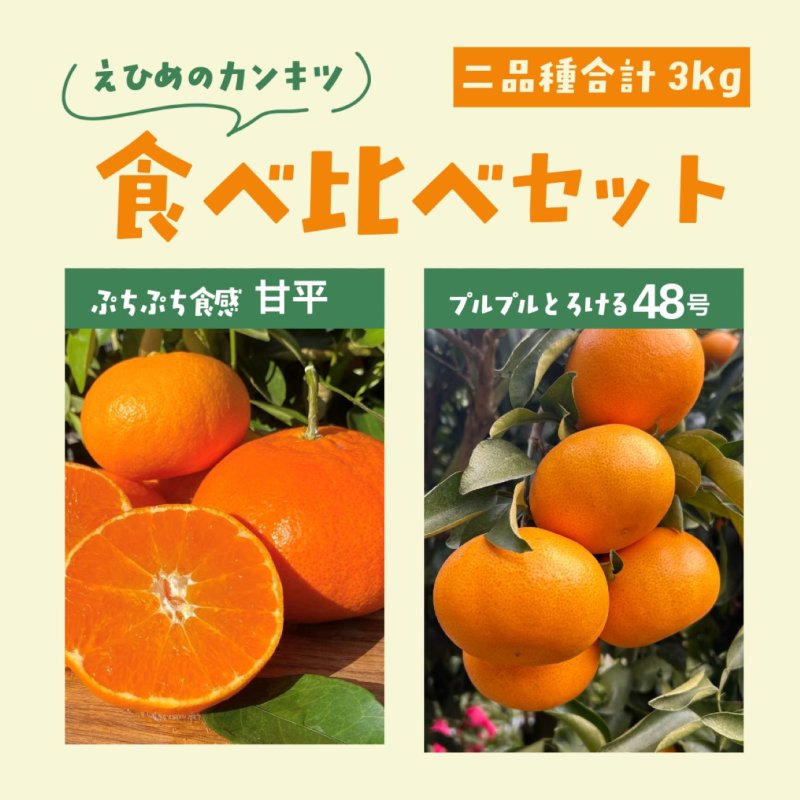 画像1: 【希少セット】プリンセスと甘平セット (1)