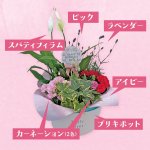 画像2: 【2026母の日ギフト】寄せカゴ（エレガント） (2)