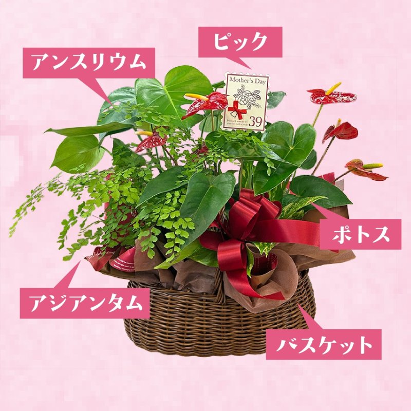 画像2: 【2026母の日ギフト】寄せカゴ（プレミアム） (2)