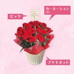 画像3: 【2026母の日ギフト】カーネーション (3)
