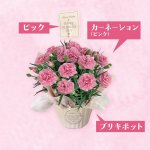 画像4: 【2026母の日ギフト】カーネーション (4)