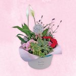 画像1: 【2026母の日ギフト】寄せカゴ（エレガント） (1)