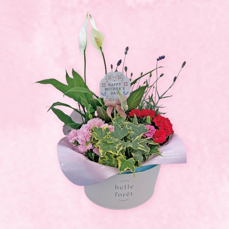 画像1: 【2026母の日ギフト】寄せカゴ（エレガント） (1)