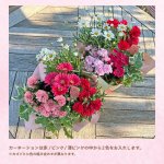 画像3: 【2026母の日ギフト】寄せカゴ（キュート） (3)