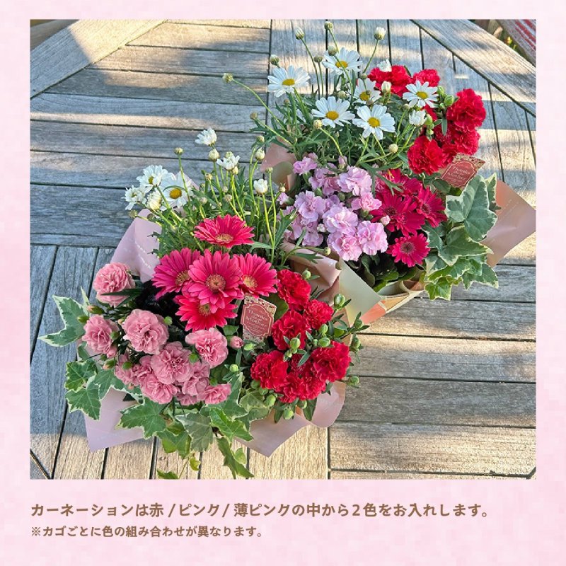 画像3: 【2026母の日ギフト】寄せカゴ（キュート） (3)