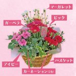 画像2: 【2026母の日ギフト】寄せカゴ（キュート） (2)