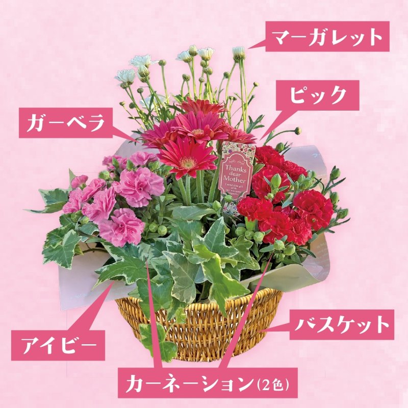 画像2: 【2026母の日ギフト】寄せカゴ（キュート） (2)