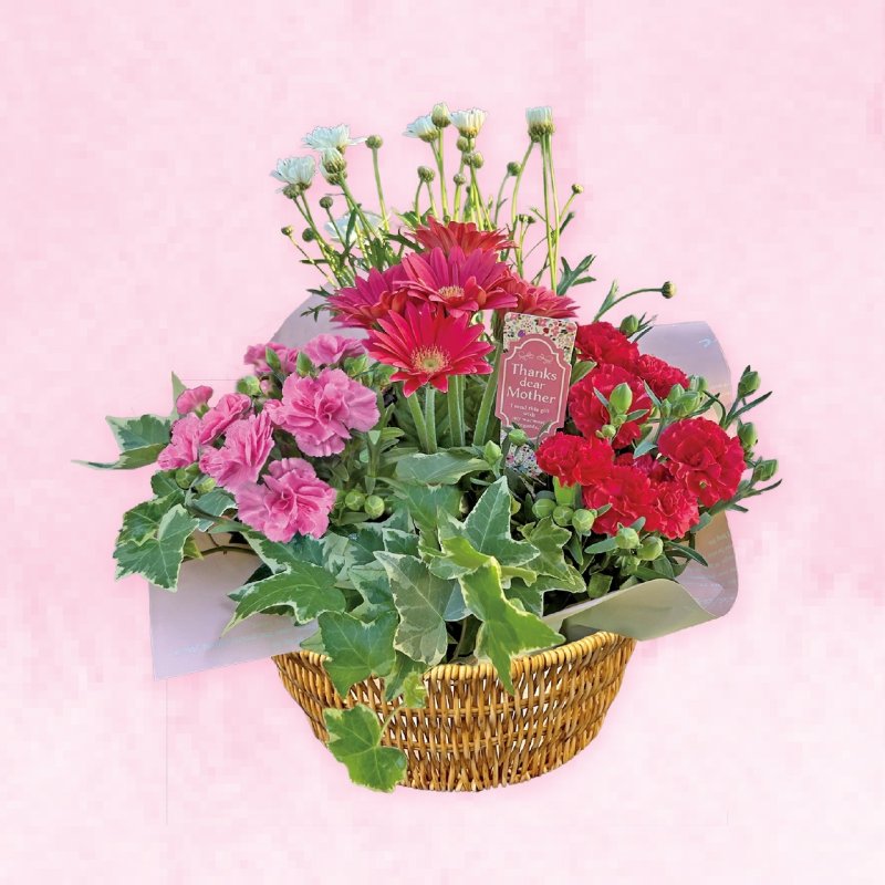 画像1: 【2026母の日ギフト】寄せカゴ（キュート） (1)