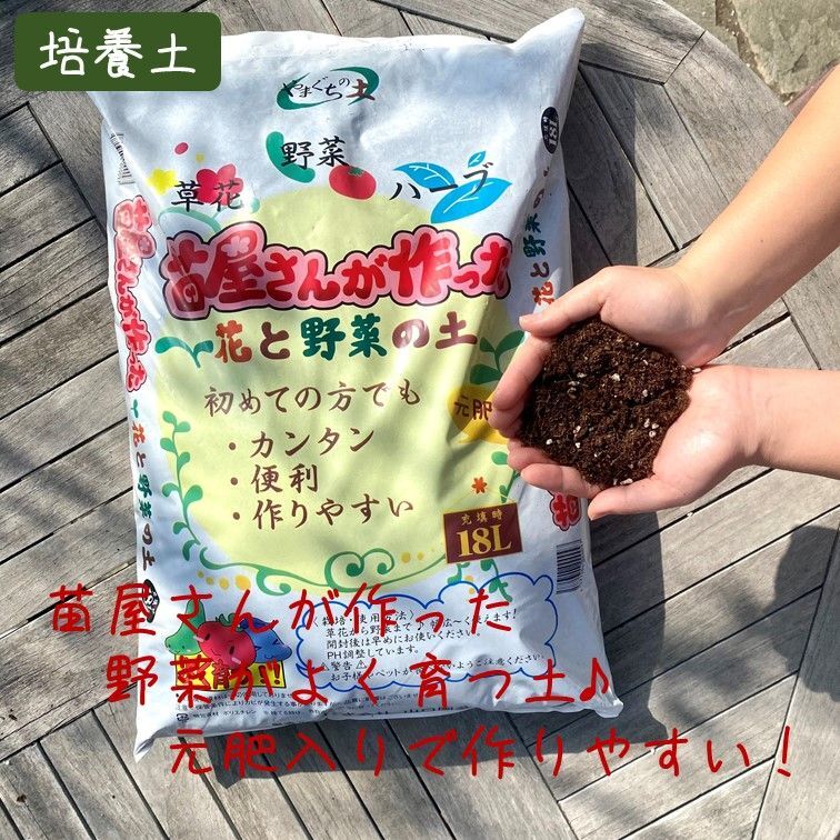 野菜とハーブの家庭菜園セット 選べる野菜苗付き 送料無料 ファンガーデン